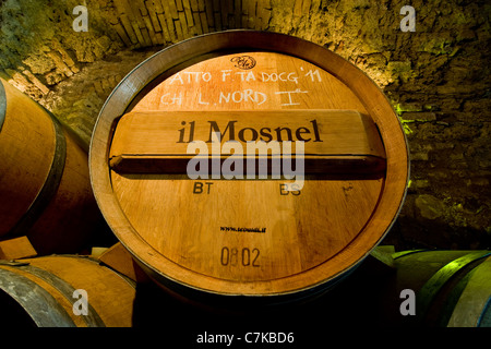 Il Mosnel cantine, Camignone di Passirano, Franciacorta, Lombardia, Italia Foto Stock