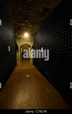 Il Mosnel cantine, Camignone di Passirano, Franciacorta, Lombardia, Italia Foto Stock