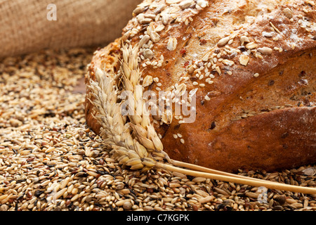 Vista dettagliata del grano intero pane con spighe di grano in grani Foto Stock