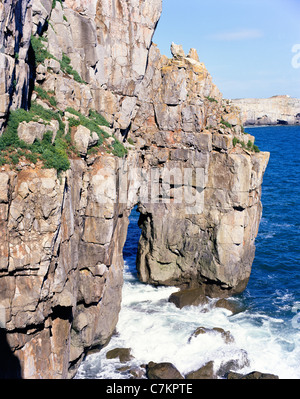 Una forma d'onda tagliata arco nelle scogliere a St Govans Bay, Pembrokeshire - parte di Il Pembrokeshire Coast National Park Foto Stock