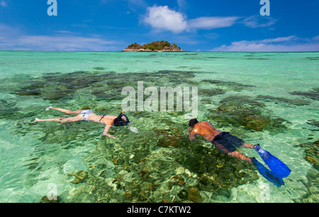 Snorkeling a Ko Lipe, Thailandia Foto Stock