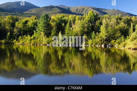 Re Burrone da Durand Lago in Randolph, New Hampshire USA durante i mesi di estate Foto Stock