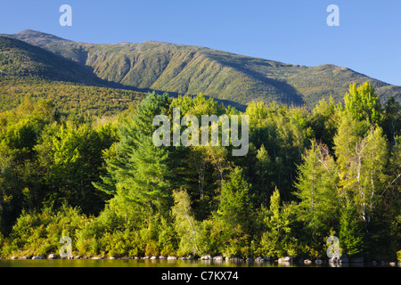 Re Burrone da Durand Lago in Randolph, New Hampshire USA durante i mesi di estate Foto Stock