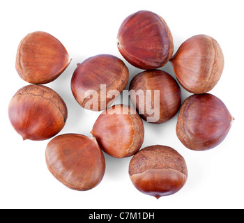 Cumulo di castagne isolati su sfondo bianco Foto Stock