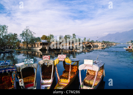 Shikaras (barche di legno) utilizzato come i taxi d'acqua sul Lago Dal in Srinagar Kashmir, India Foto Stock