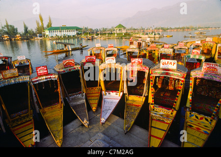 Shikaras (barche di legno) utilizzato come i taxi d'acqua sul Lago Dal in Srinagar Kashmir, India Foto Stock