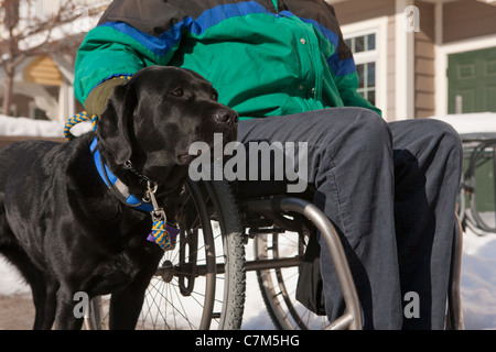 Donna con sclerosi multipla in una sedia a rotelle con un cane di servizio Foto Stock