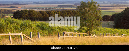 Una fotografia panoramica del Lincolnshire settentrionale della campagna in una soleggiata Sera di Settembre Foto Stock