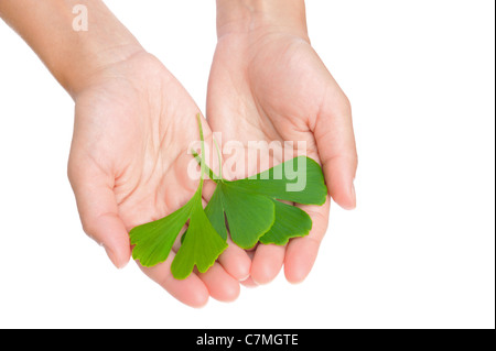 Le mani della giovane donna azienda ginkgo leaf - isolato - omeopatia Foto Stock