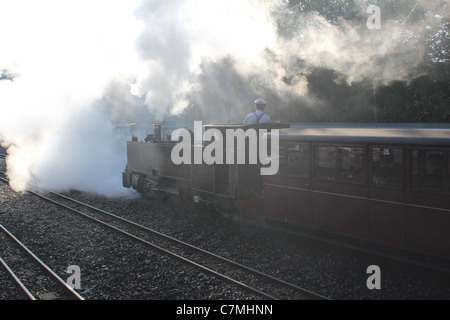 Bure Valley Railway xxi anniversario Gala vapore settembre 2011, BVR 8 Thunder uscenti dalla stazione Foto Stock