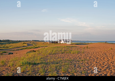 Bungalow isolati, strada di ciottoli, Suffolk, Regno Unito. Foto Stock