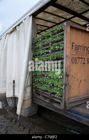 Impianti modulo   Farm contenitore su terreni agricoli, Southport, Merseyside, Regno Unito Foto Stock