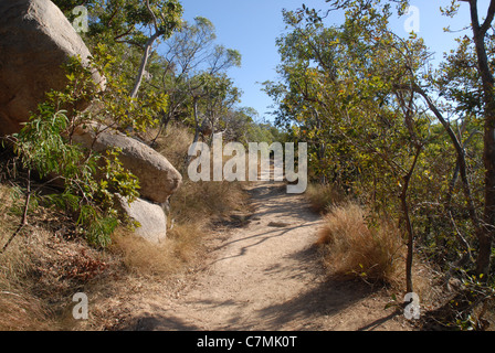 I fortini a piedi, Magnetic Island, Queensland, Australia Foto Stock