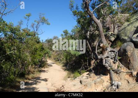 I fortini a piedi, Magnetic Island, Queensland, Australia Foto Stock