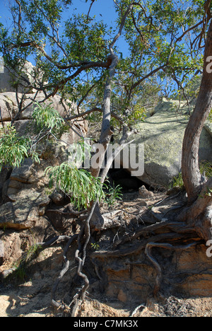 I fortini a piedi, Magnetic Island, Queensland, Australia Foto Stock