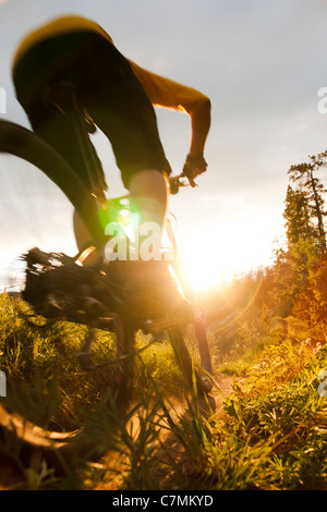 Un mountain biker rides Ospedale Ridge trail sotto il sole di mezzanotte in Whitehorse, Yukon Territory, Canada Foto Stock