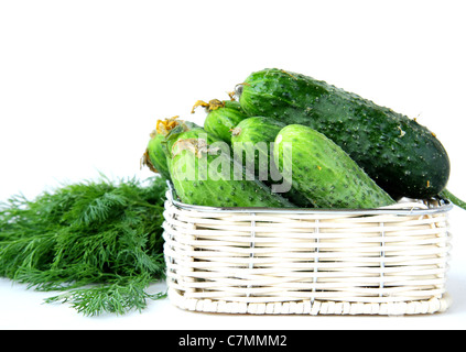 Harvest cetrioli e aneto in un cestello Foto Stock