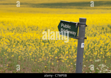 Pubblico segno Bridleway, Gloucestershire, Cotswolds, REGNO UNITO Foto Stock