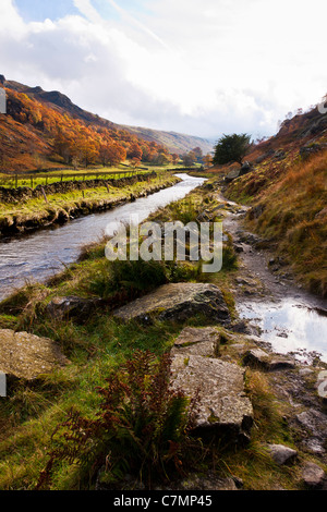 Il fiume Derwent scorre attraverso la valle di borrowdale sul suo modo di derwentwater.formato verticale.copia dello spazio. Foto Stock