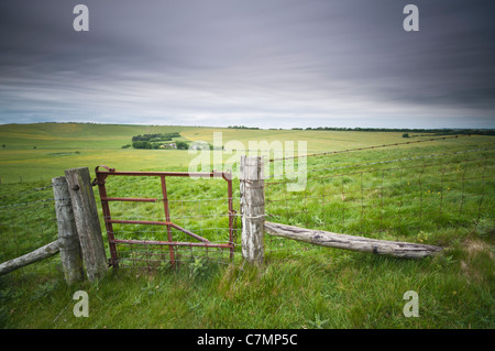 Paesaggio di campagna vicino a Knap Hill, Wiltshire, Regno Unito Foto Stock