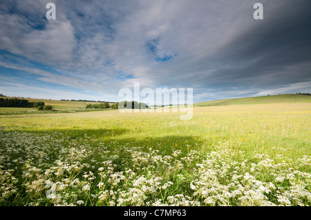 Paesaggio di campagna vicino a Knap Hill, Wiltshire, Regno Unito Foto Stock