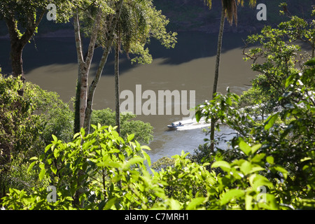 Motoscafo in Iguassu sul fiume Paraná, Brasile, Sud America. Foto Stock