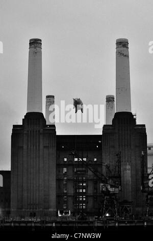 Suini di un'ala. Pink Floyd volare i loro suini iconica over Battersea Power Station, 35 anni. Battersea. Londra. 26/09/2011. Foto Stock