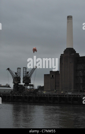 Suini di un'ala. Pink Floyd volare i loro suini iconica over Battersea Power Station, 35 anni. Battersea. Londra. 26/09/2011. Foto Stock