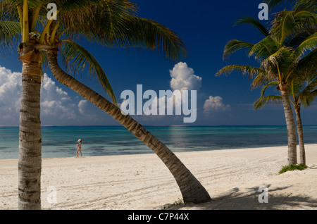 Donna di camminare sulla spiaggia con palme di cocco in Messico Riviera Maya Golfo del Messico Foto Stock