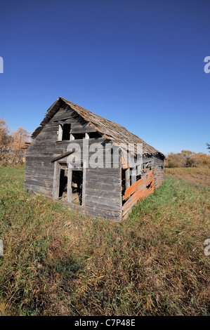 Vecchia fattoria abbandonata nel mezzo di un campo in Saskatchewan in Canada. Foto Stock