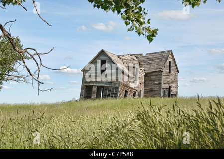 Un vecchio casale abbandonato in un campo. Foto Stock