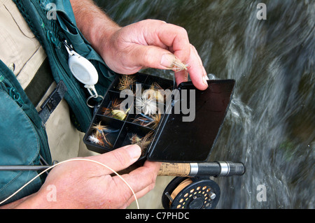 Fly fisherman holding fly box in fiume Foto Stock