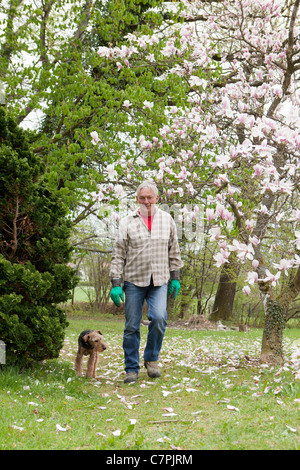 Vecchio uomo a camminare con il cane Foto Stock