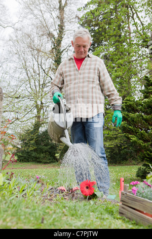 Uomo anziano fiori di irrigazione in cortile Foto Stock