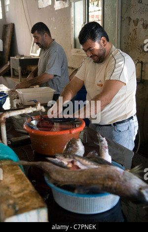 I pesci sono puliti alla mattina presto, mercato di Sidone, nel Libano meridionale. Foto Stock