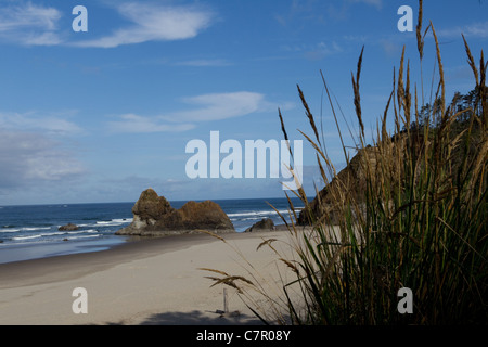 Ampia spiaggia aperta su Oregon Coast Foto Stock