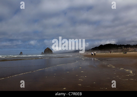 Ampia spiaggia aperta su Oregon Coast Foto Stock