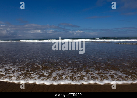 Ampia spiaggia aperta su Oregon Coast Foto Stock