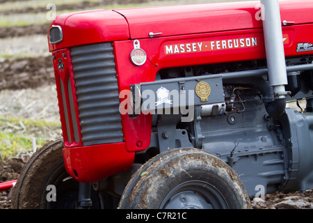 Trattore Massey Ferguson nella Campagna britannica Foto Stock