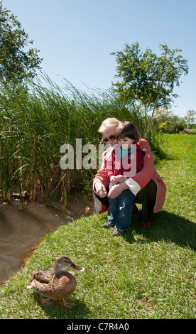 Nonna e due anni nipote alimentazione di anatre nel parco/Modello rilasciato Foto Stock