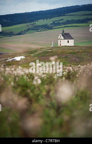 Barba grigia Cappella di Santa Croce in Spisske Podhradie, Slovacchia Foto Stock