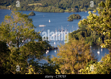 Parco Nazionale del Distretto dei Laghi, Cumbria, Inghilterra. I posti barca si off Belle Isle in Windermere visto dal percorso del bosco sotto Claife Foto Stock