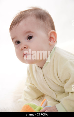 Bel colore marrone-eyed baby siede (STA) sulla pelliccia bianca Foto Stock