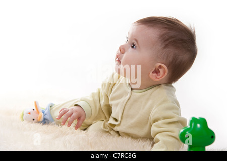 Bel colore marrone-eyed baby siede (STA) sulla pelliccia bianca Foto Stock