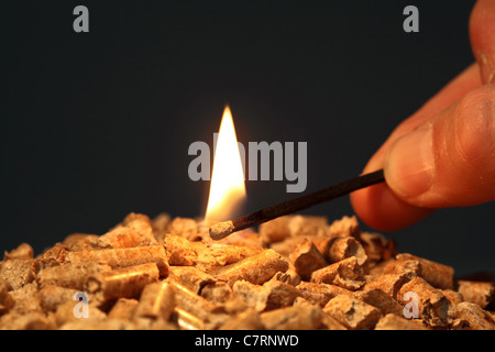 Primo piano sul pellet di legno con avviamento a fiamma di fuoco Foto Stock