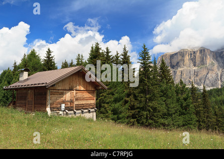 Paesaggio estivo in Val di Fassa con un piccolo fienile, Dolomiti italiane Foto Stock