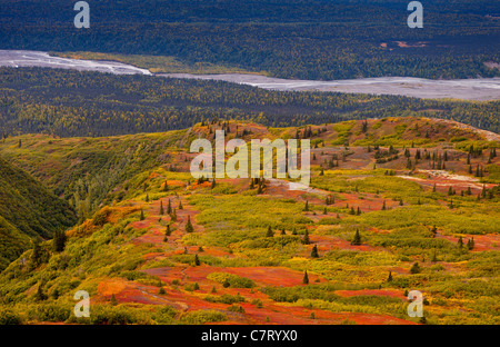 DENALI STATE PARK, Alaska, Stati Uniti d'America - Autunno tundra Kesugi sul crinale. Foto Stock