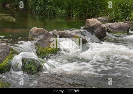 Che scorre veloce fiume di acqua dolce che scorre sulle rocce creando acqua bianca Foto Stock