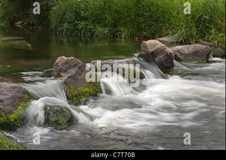 Che scorre veloce fiume di acqua dolce che scorre sulle rocce creando acqua bianca Foto Stock