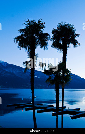 Svizzera Canton Ticino, Lago Maggiore, Ascona Foto Stock